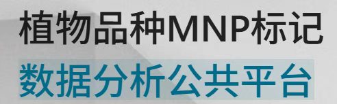 植物品种MNP标记数据分析公共平台