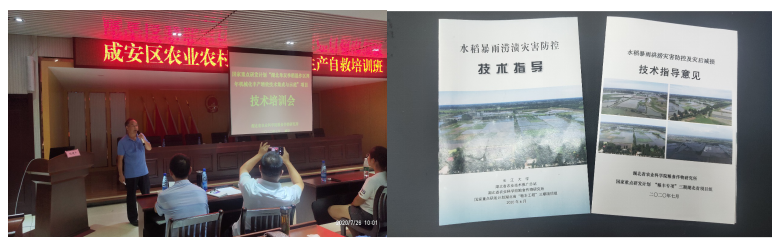 图片12.PNG