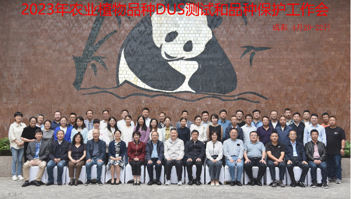 图片.png 图片.png