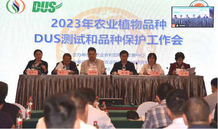图片.png 图片.png