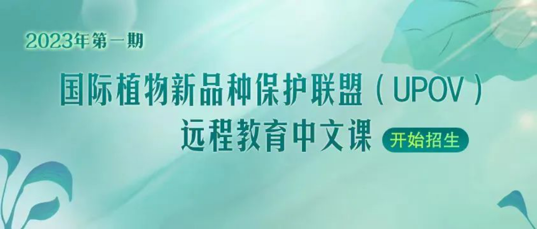 图片.png 图片.png