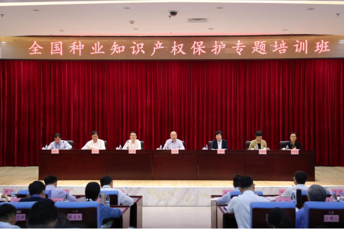 图片.png 图片.png